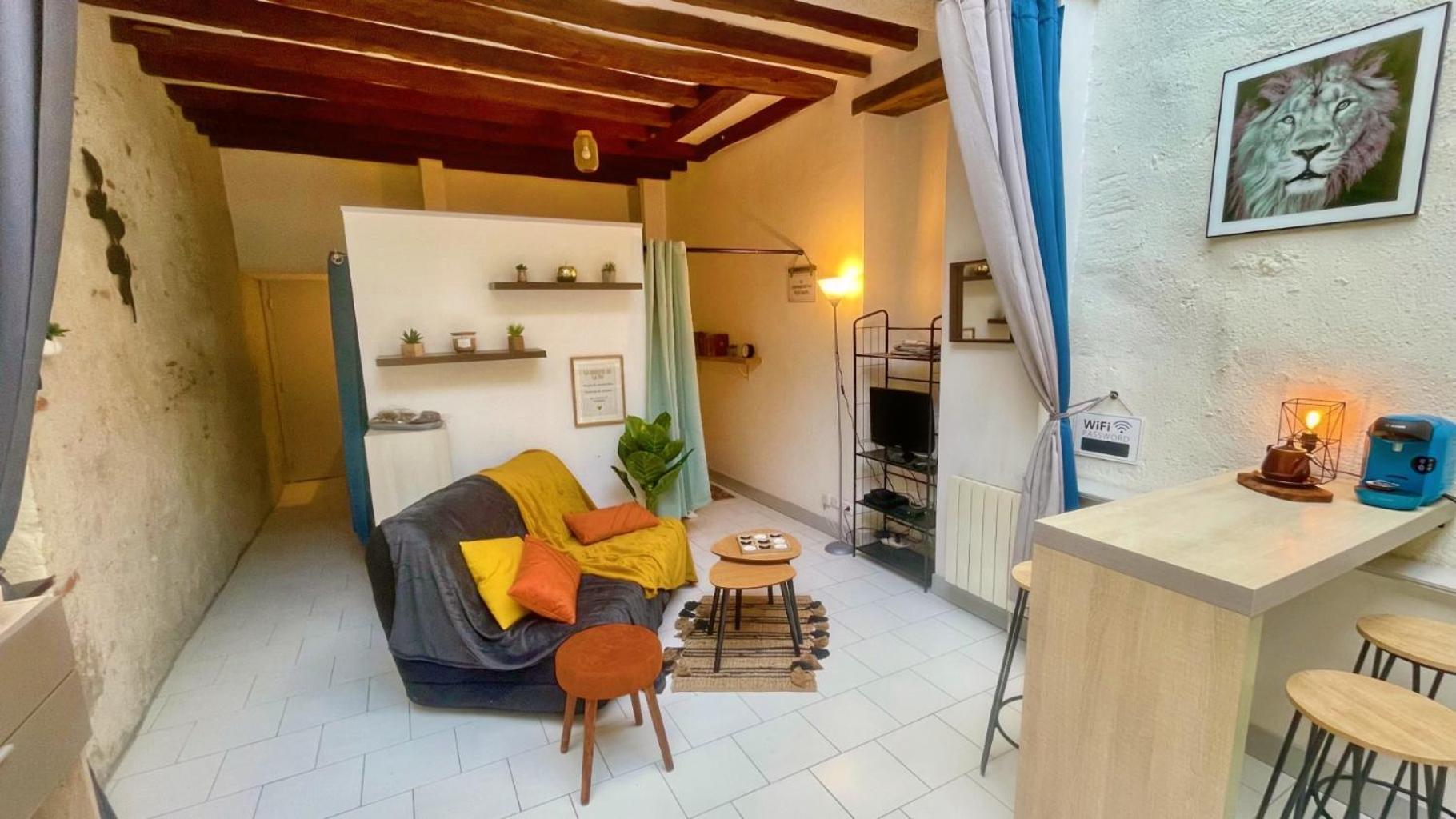 Studio Cosy Hypercentre Terrasse Блоа Екстериор снимка